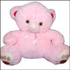 Pink  Teddy BST 9059 - Click here to View more details about this Product